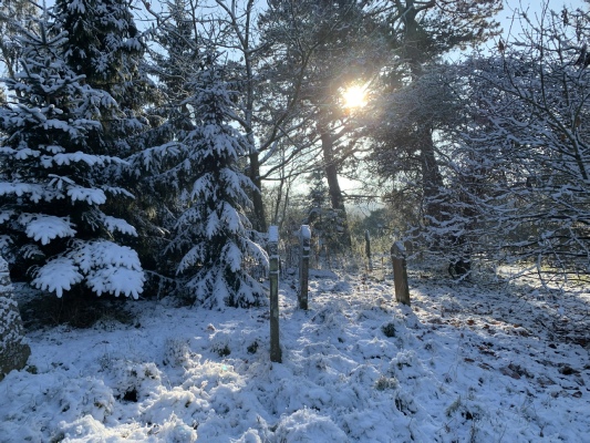 East end of the churchyard